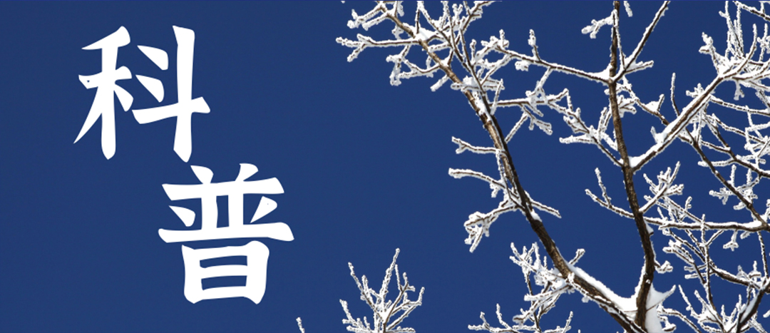 科普 | 冬季雨雪天氣?；愤\(yùn)輸車輛注意事項(xiàng)