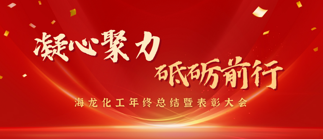 表彰 | 凝心聚力，砥礪前行，海龍化工年終總結(jié)暨表彰大會(huì)圓滿舉行